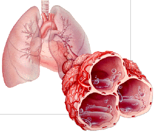 Unique Device for Early Prediction of the Pulmonary Edema